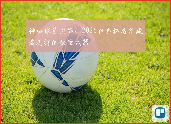 神秘球员空降,2026世界杯名单藏着怎样的秘密武器